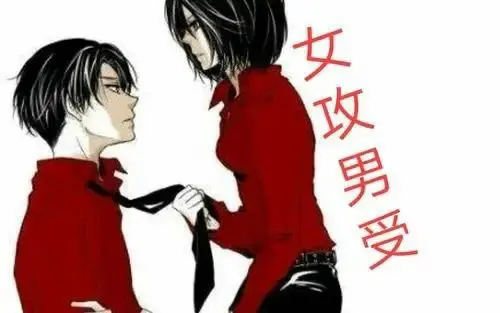 西檬之家字母圈s属性是什么意思? 一