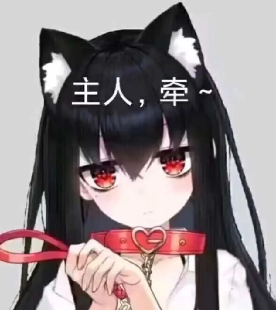 西檬之家k8猫系属性详解 一