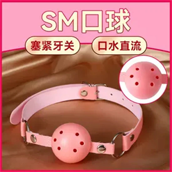 西檬之家SM新手入门指南 一