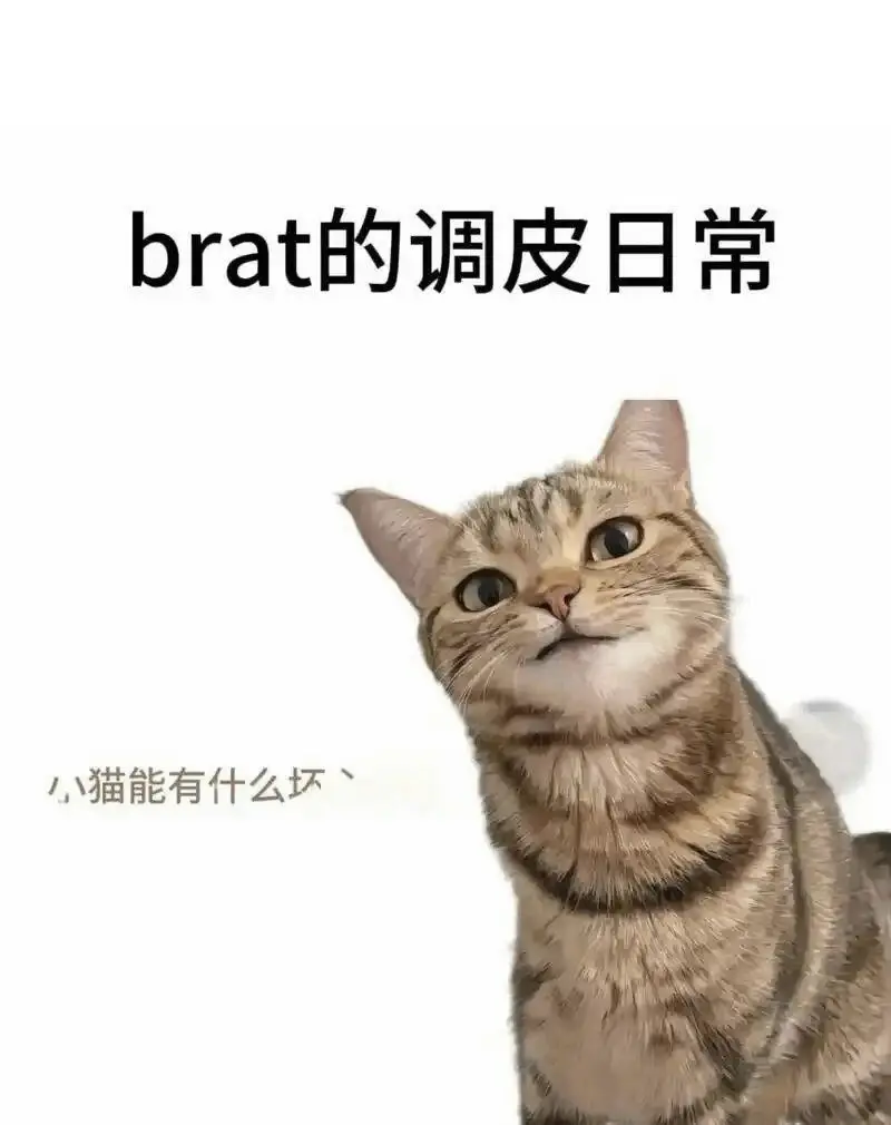 西檬之家Dom是什么意思?你的字母圈身份 一