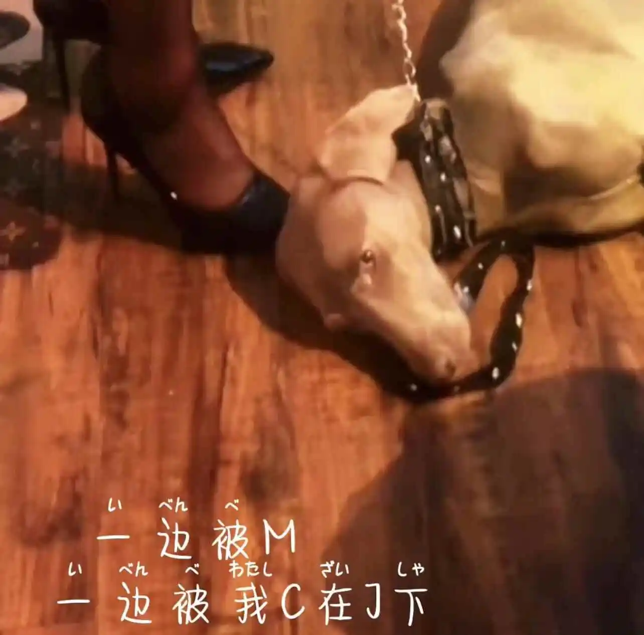 西檬之家s倾向是什么意思? 一