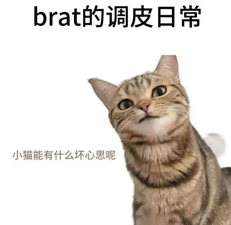 西檬之家字母圈的管教是什么意思? 一
