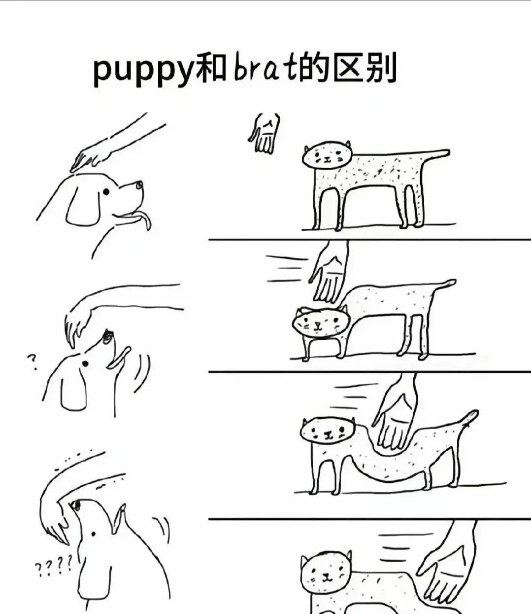 西檬之家BDSM是什么意思?字母圈新人必读 一