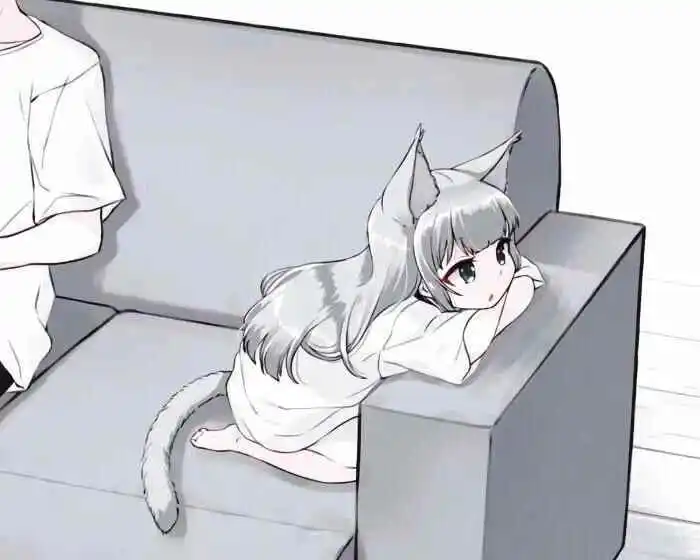 西檬之家k9犬系是什么?你的字母圈属性是什么? 一