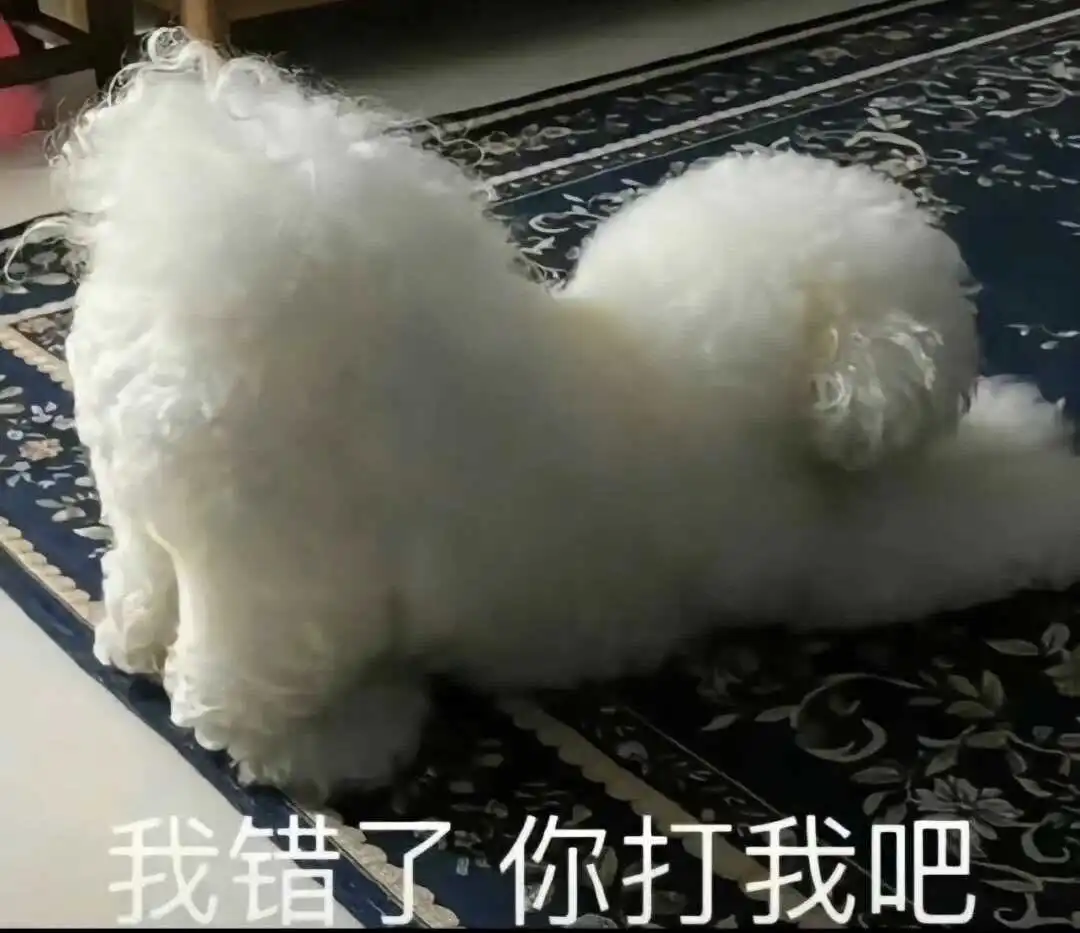 西檬之家SP小圈是什么意思?字母圈新人科普 一