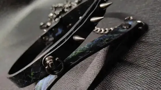 西檬之家s倾向是什么意思? 一