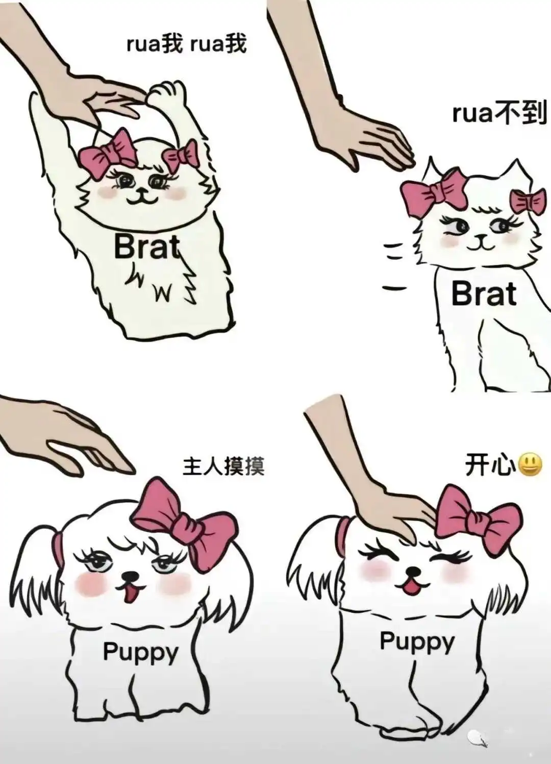西檬之家字母圈圣水是什么?新人入圈指南 一