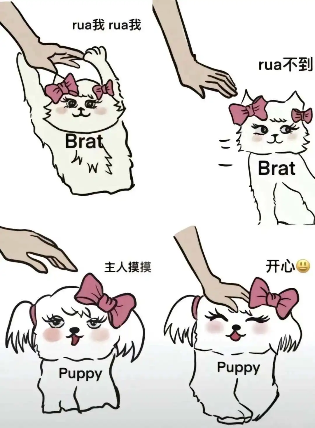 西檬之家Dirty Talk是什么?字母圈新人入圈 一