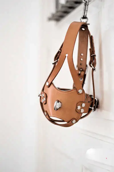 西檬之家K9是什么?字母圈角色知多少? 一