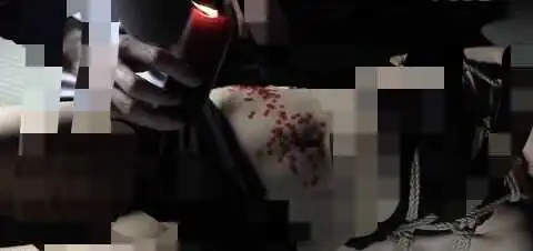西檬之家SM是什么? 一